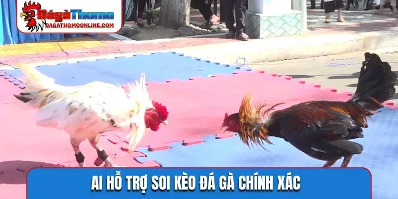 AI hỗ trợ soi kèo đá gà chính xác