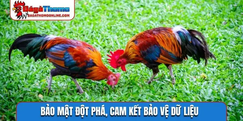 Bảo mật đột phá, cam kết bảo vệ dữ liệu