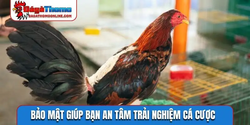 Bảo mật giúp bạn an tâm trải nghiệm cá cược