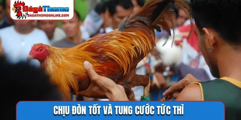 Chịu đòn tốt và tung cước tức thì