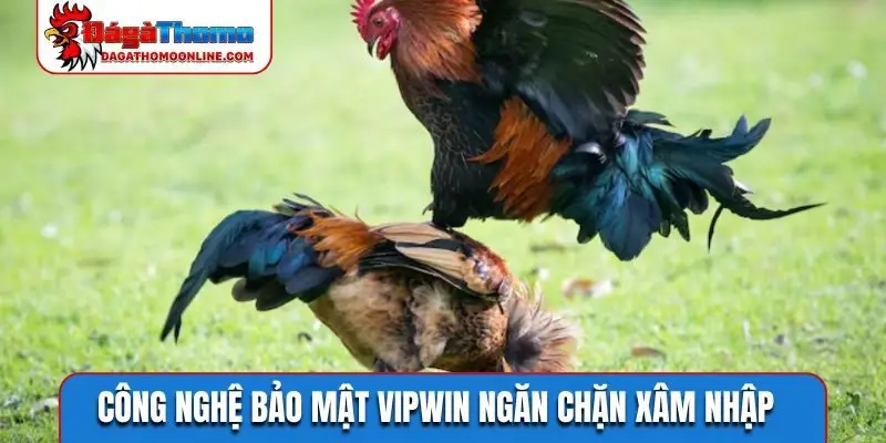 Công nghệ bảo mật VIPWIN ngăn chặn xâm nhập