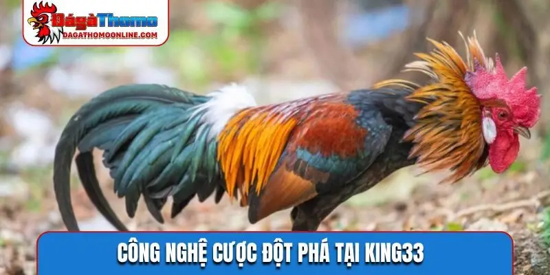 Công nghệ cược đột phá tại KING33