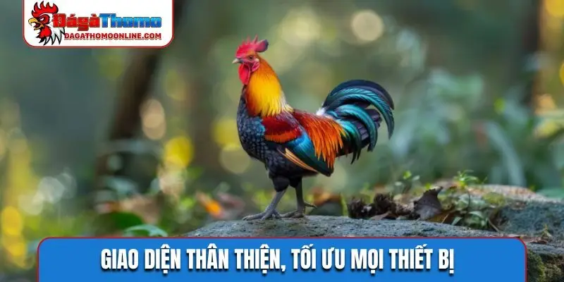 Giao diện thân thiện, tối ưu mọi thiết bị