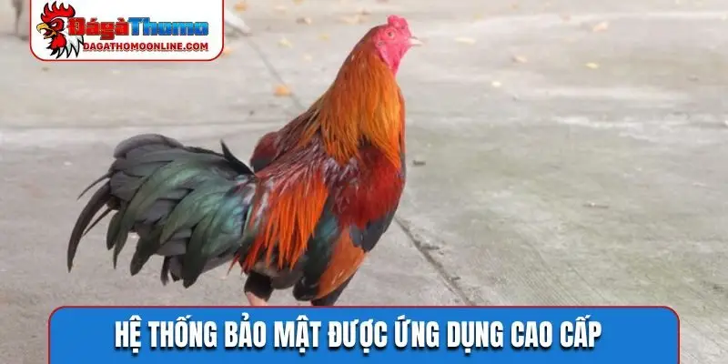 Hệ thống bảo mật được ứng dụng cao cấp