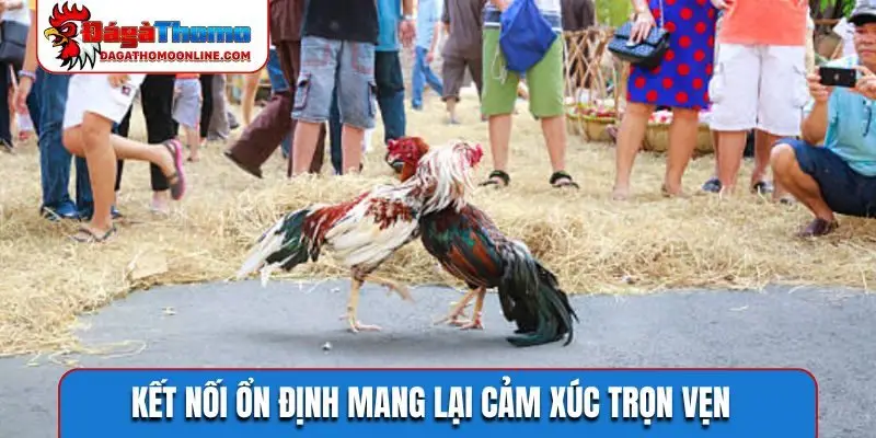 Kết nối ổn định mang lại cảm xúc trọn vẹn
