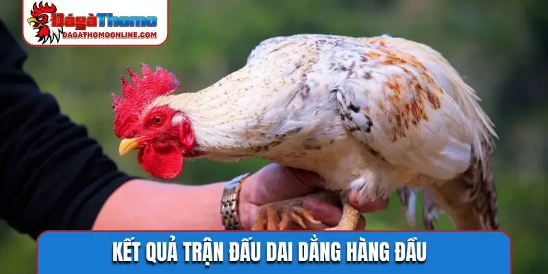 Kết quả trận đấu dai dẳng hàng đầu