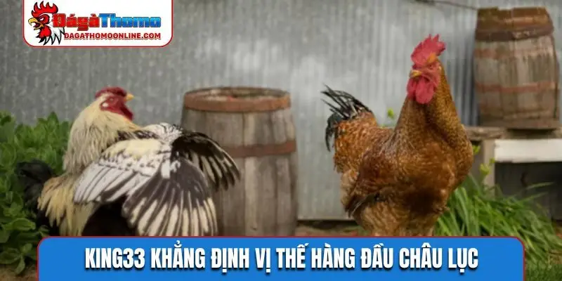 KING33 khẳng định vị thế hàng đầu châu lục