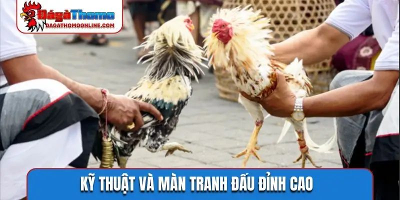 Kỹ thuật và màn tranh đấu đỉnh cao