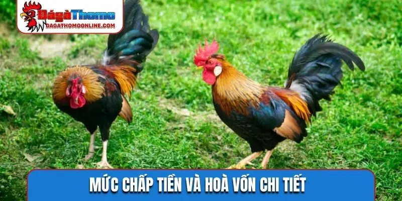 Mức chấp tiền và hoà vốn chi tiết