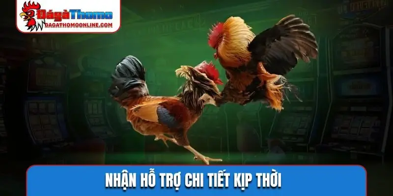 Nhận hỗ trợ chi tiết kịp thời