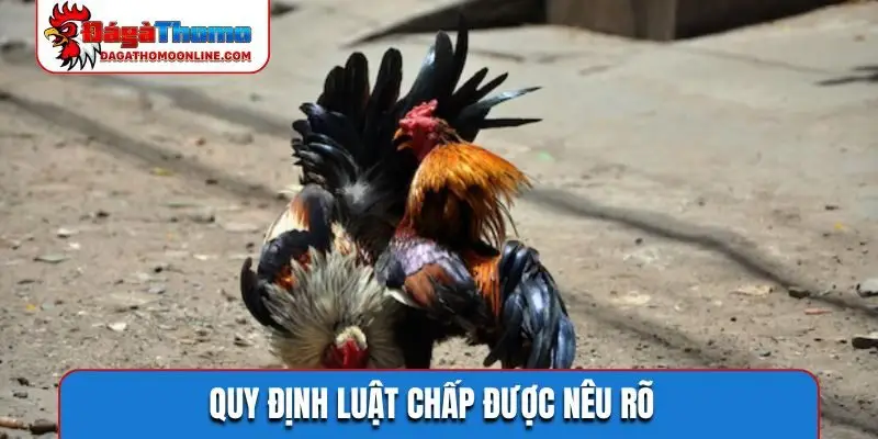 Quy định luật chấp được nêu rõ
