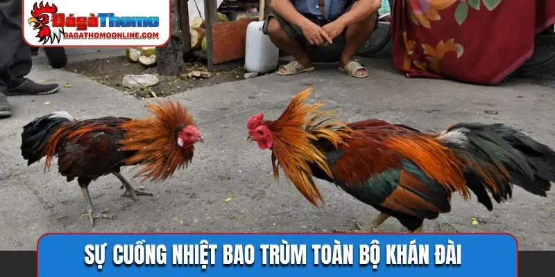 Sự cuồng nhiệt bao trùm toàn bộ khán đài