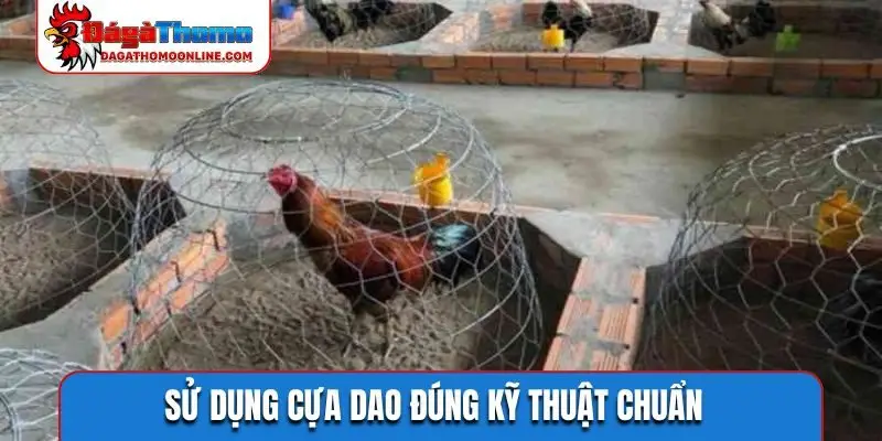 Sử dụng cựa dao đúng kỹ thuật chuẩn