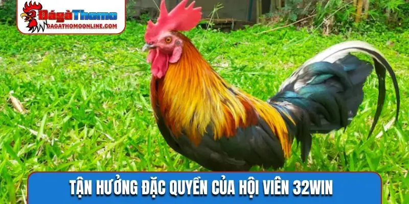 Tận hưởng đặc quyền của hội viên 32WIN