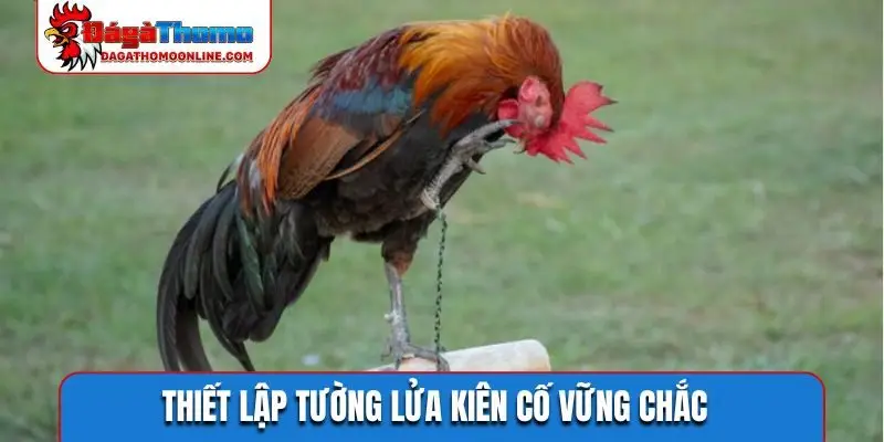 Thiết lập tường lửa kiên cố vững chắc