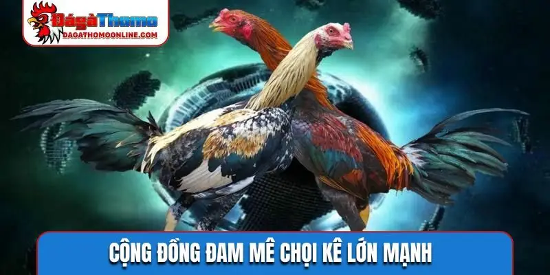 Trải nghiệm mượt với tốc độ truy cập nhanh