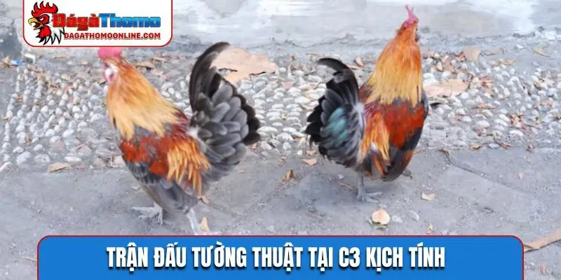 Trận đấu tường thuật tại C3 kịch tính