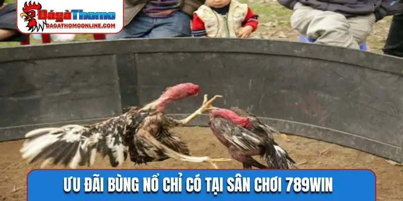 Ưu đãi bùng nổ chỉ có tại sân chơi 789WIN