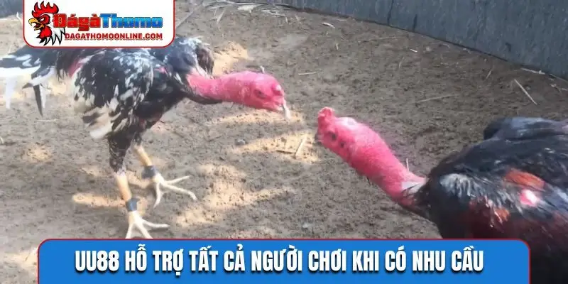 UU88 hỗ trợ tất cả người chơi khi có nhu cầu