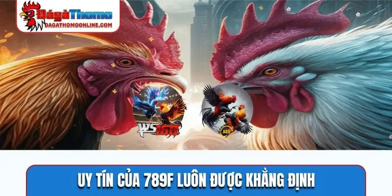 Uy tín của 789F luôn được khẳng định