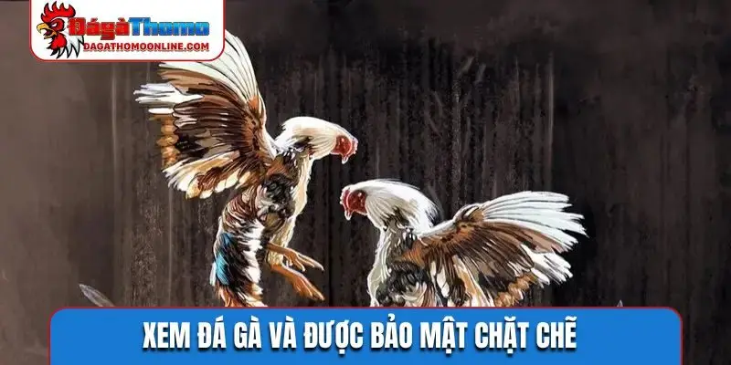 Xem đá gà và được bảo mật chặt chẽ