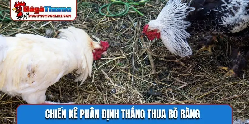 Chiến kê phân định thắng thua rõ ràng