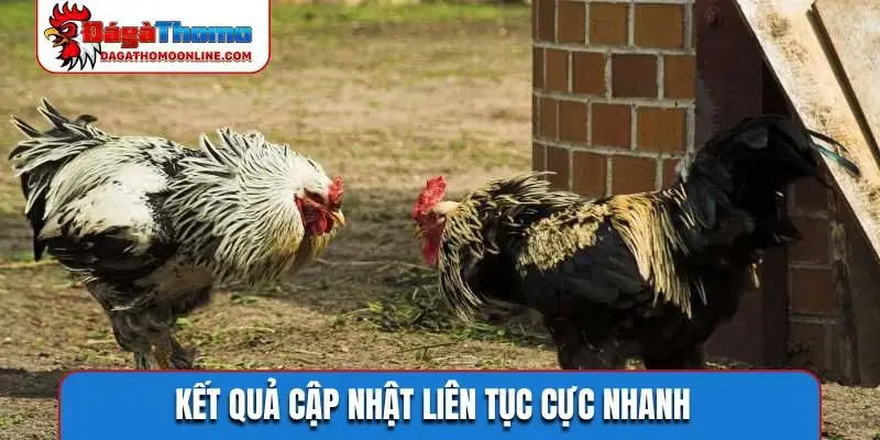 Kết quả cập nhật liên tục cực nhanh